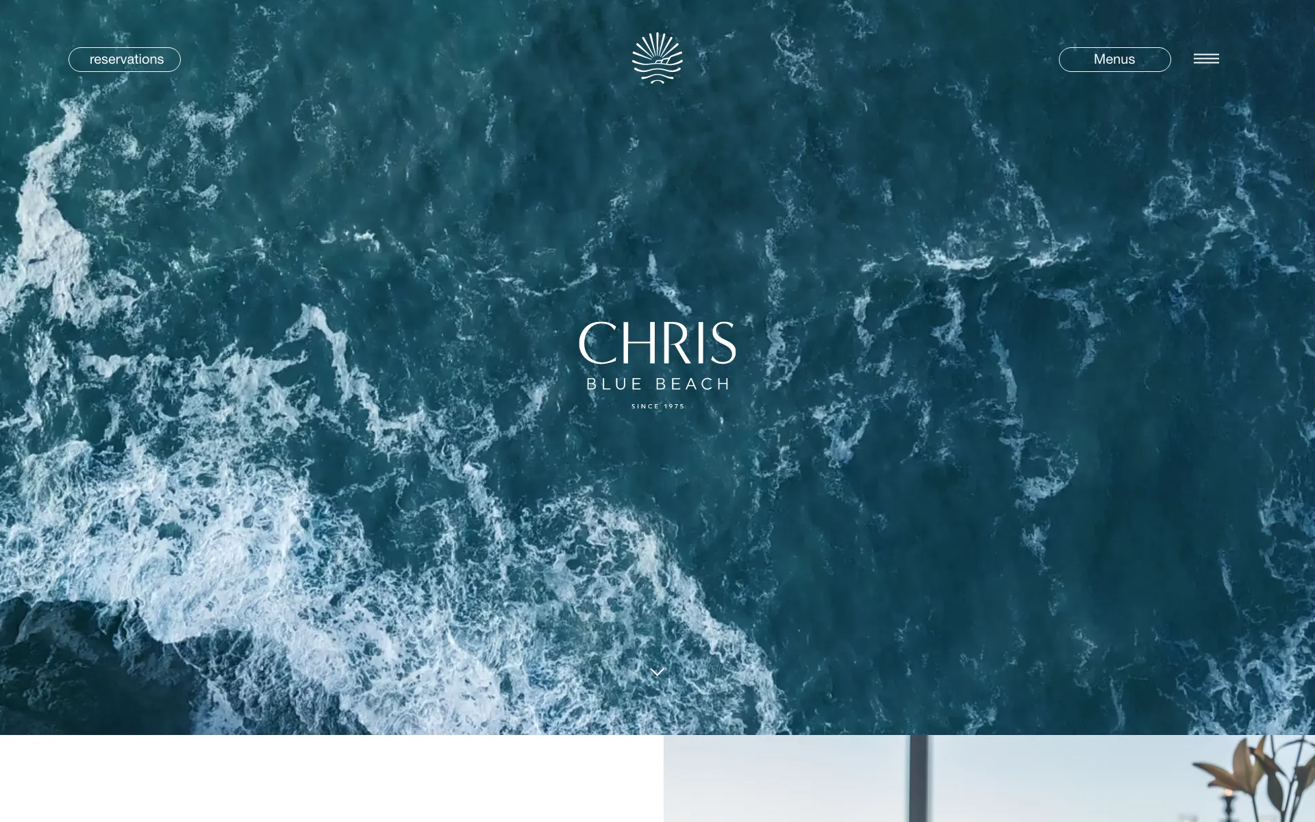 chrisbluebeach home